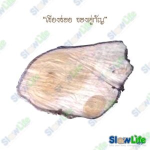 เขียงข่อย
