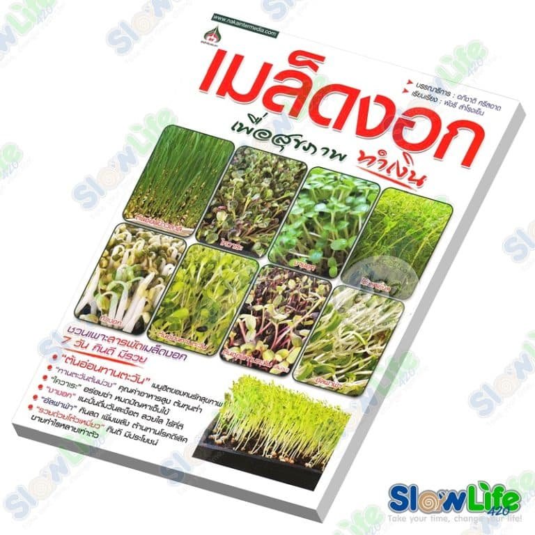 My Image 15