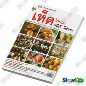 เพาะเห็ดให้รวยทำได้ไม่ยาก