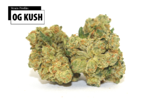OG Kush กัญชา
